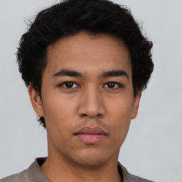 Robert Kim